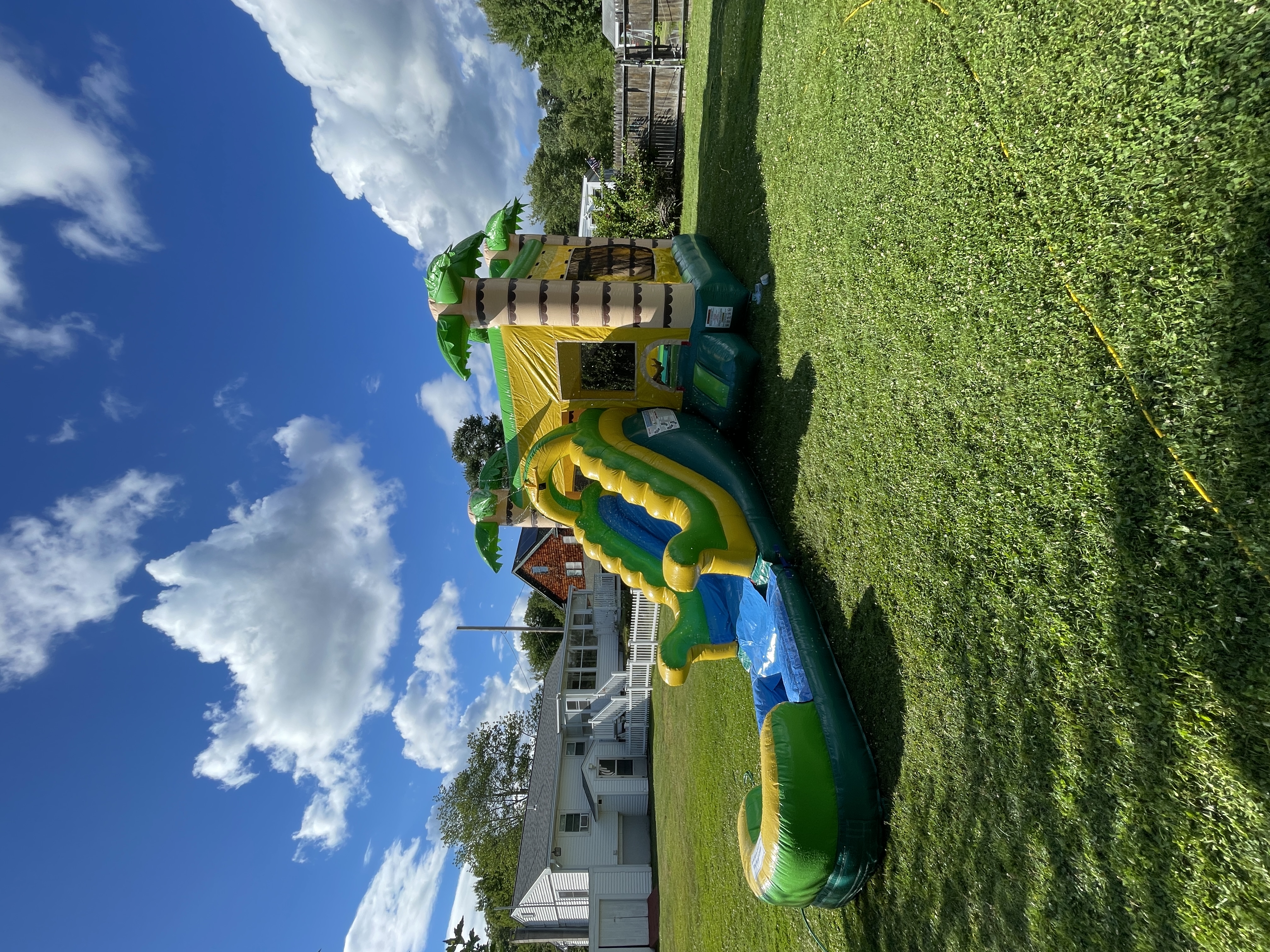 Jungle bounce house combo